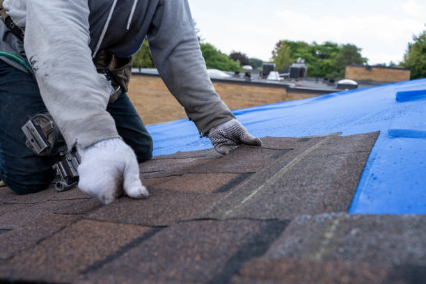 Best Storm Damage Roof Repair  in Sylvania, GA